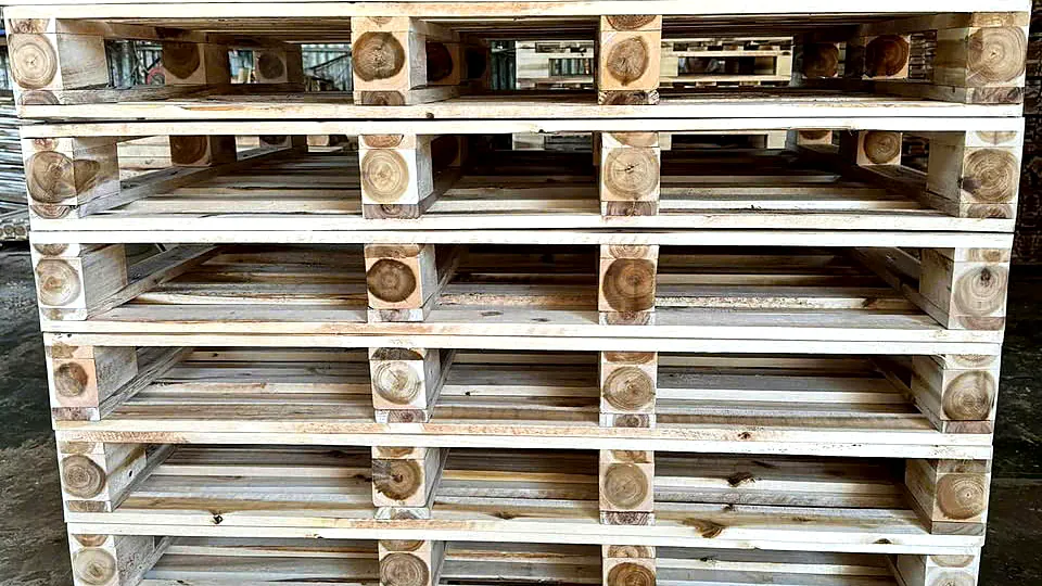 tải trọng pallet gỗ — pallet gỗ tràm 4 chiều kê hàng trong kho