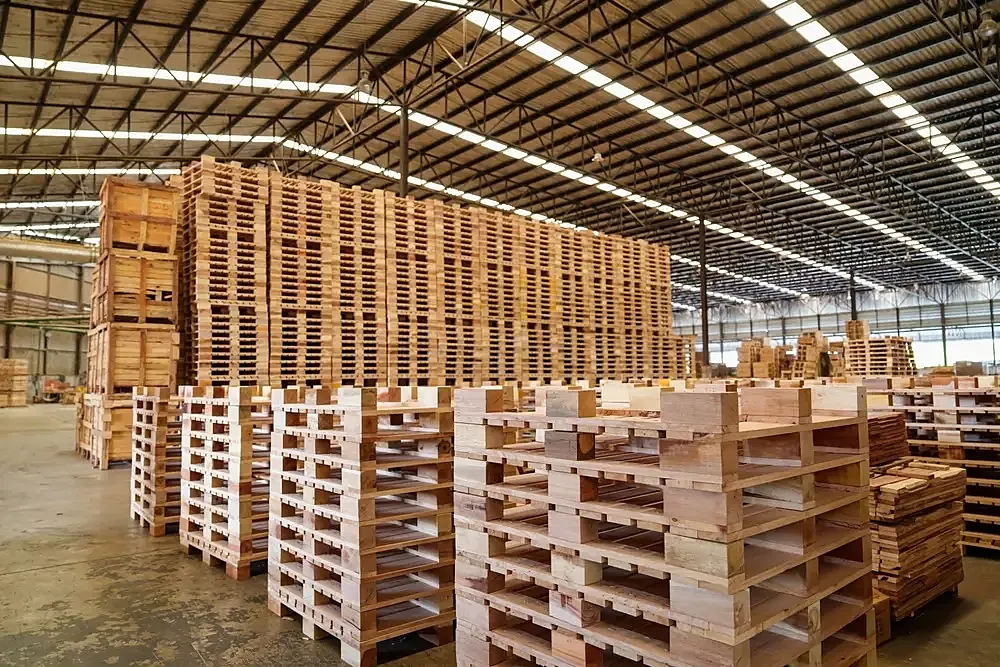 kho pallet gỗ xếp sẵn để cung cấp pallet số lượng lớn