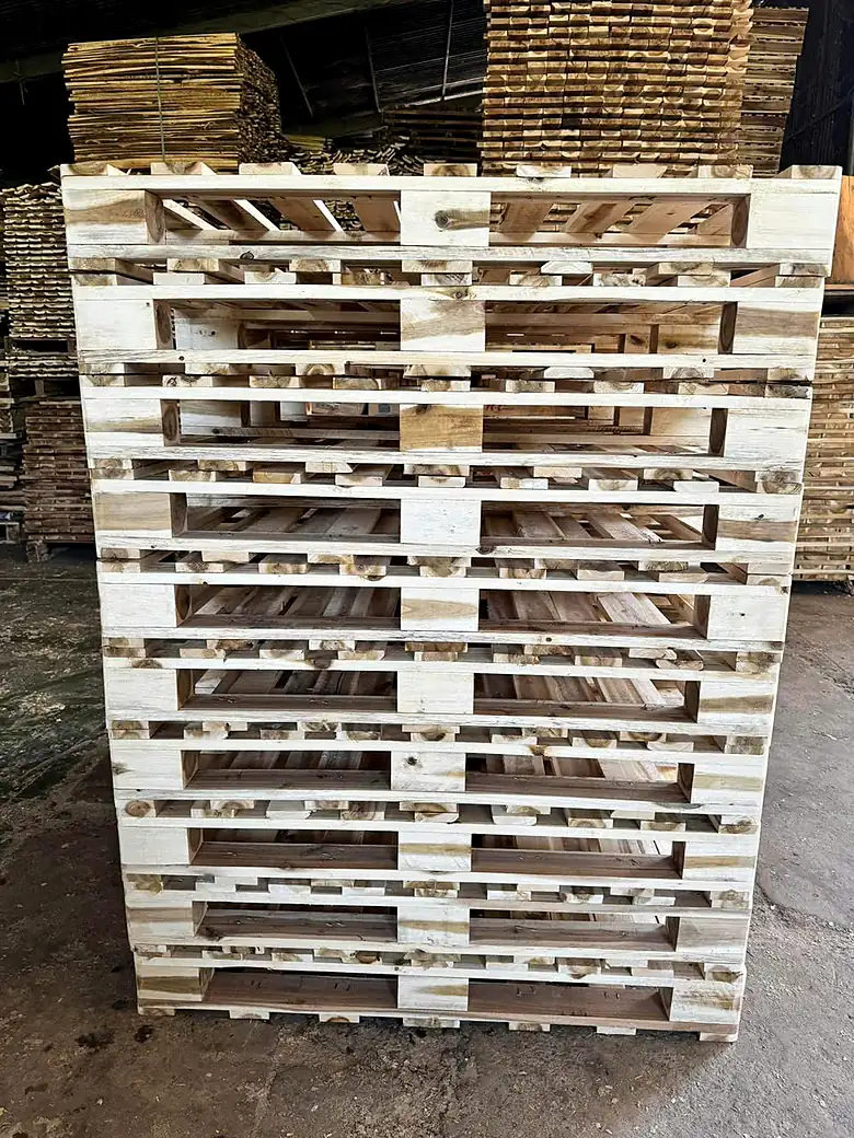 chồng pallet gỗ tràm còn tốt để đối chiếu khi kiểm pallet gỗ cũ