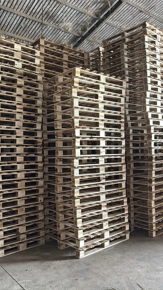 kho pallet gỗ tràm mới đóng xếp cao trong nhà xưởng