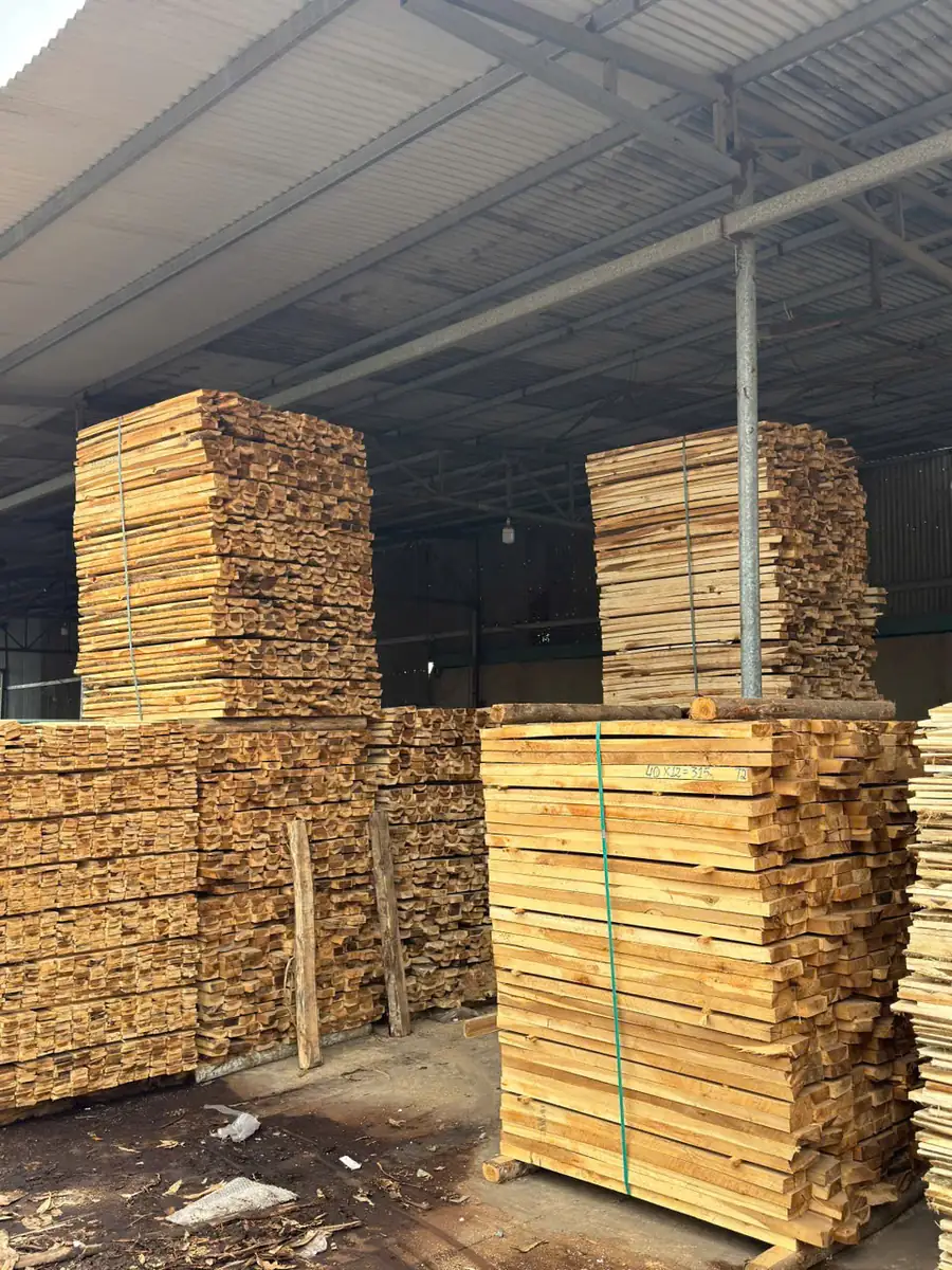 kiện gỗ tràm xẻ xếp trong xưởng trước khi đóng pallet