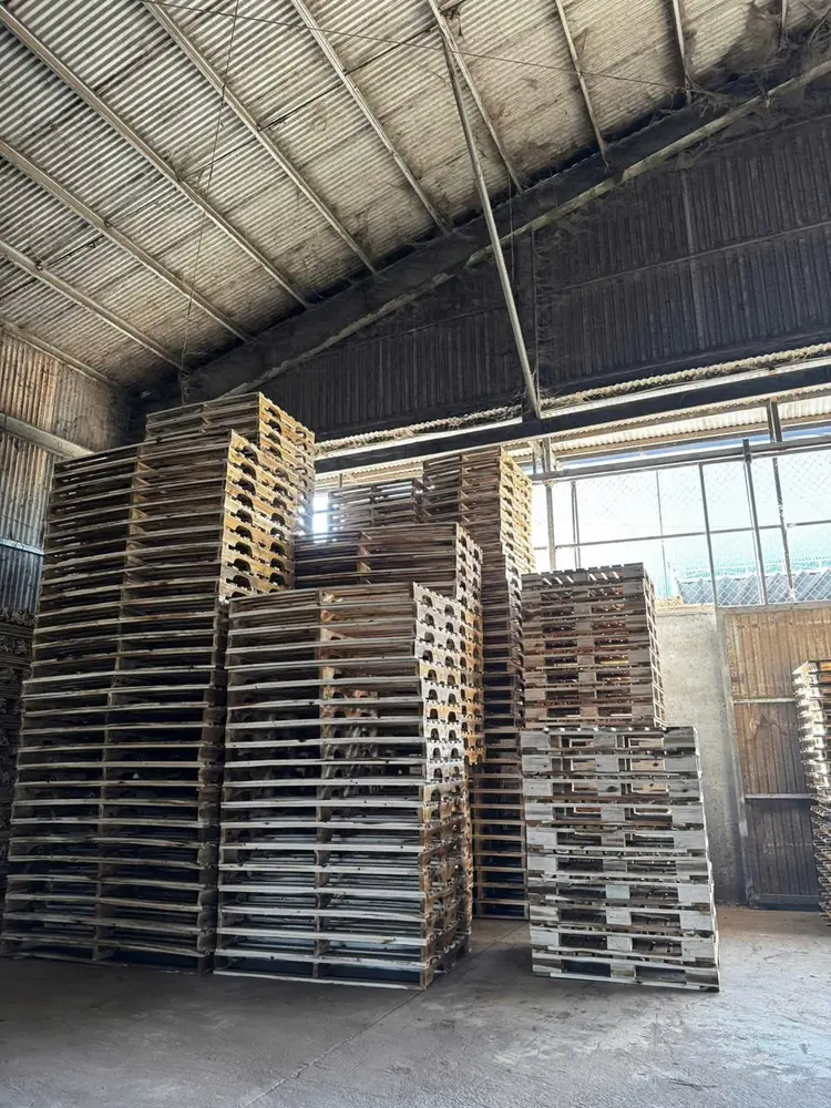 Pallet gỗ cũ xếp cao trong xưởng chờ phân loại