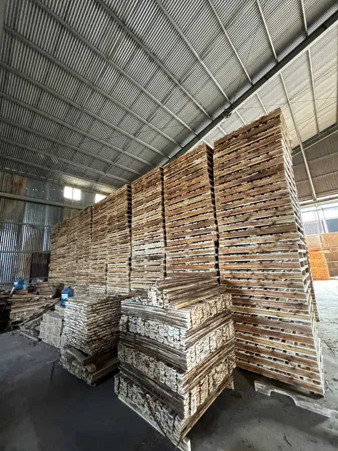 pallet gỗ tràm xếp cao trong nhà xưởng, có tấm cần loại phía dưới