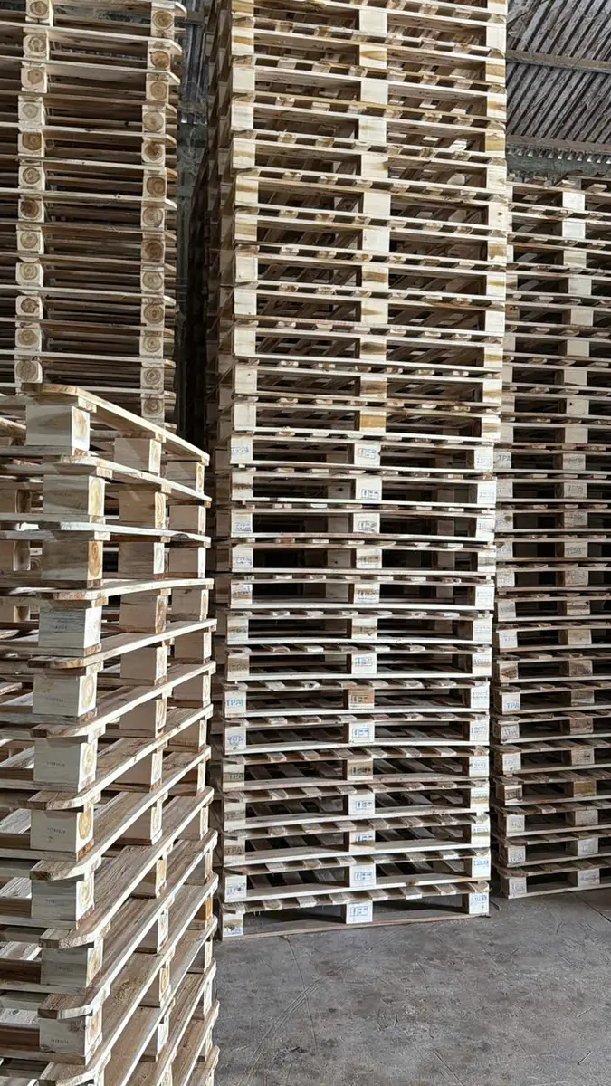 pallet gỗ tràm xếp chồng dày đặc ở khu thành phẩm