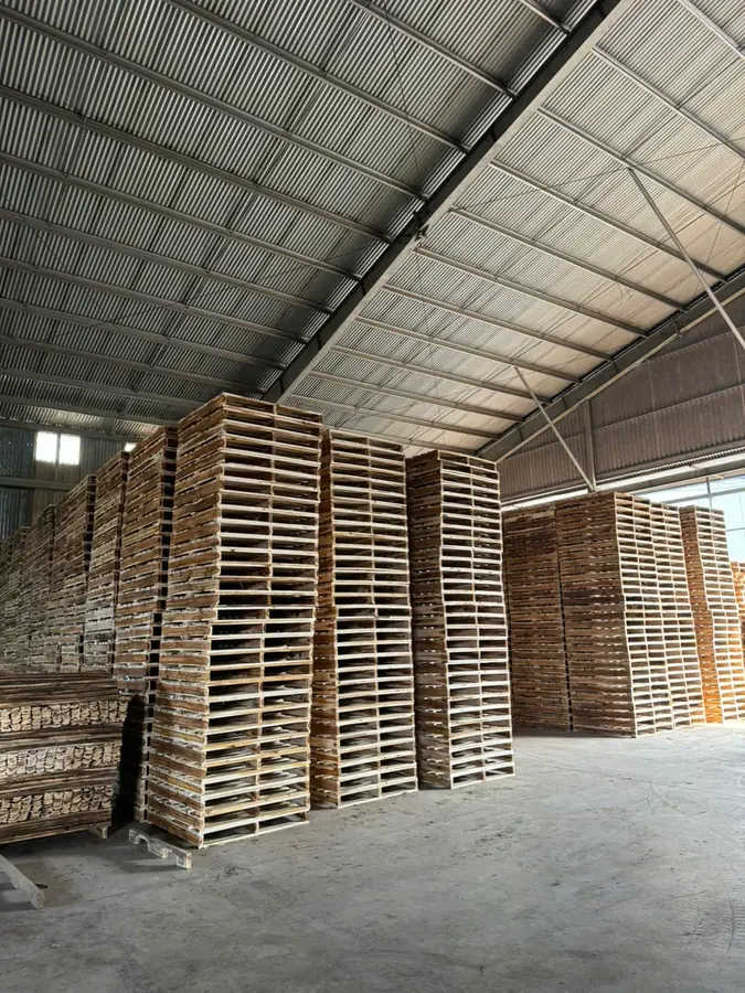 pallet là gì — kho pallet gỗ tràm xếp cao trong nhà xưởng Hố Nai