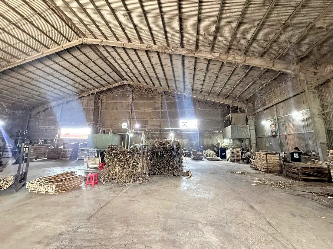toàn cảnh bên trong xưởng pallet gỗ tràm Hoàng Gia ở Hố Nai