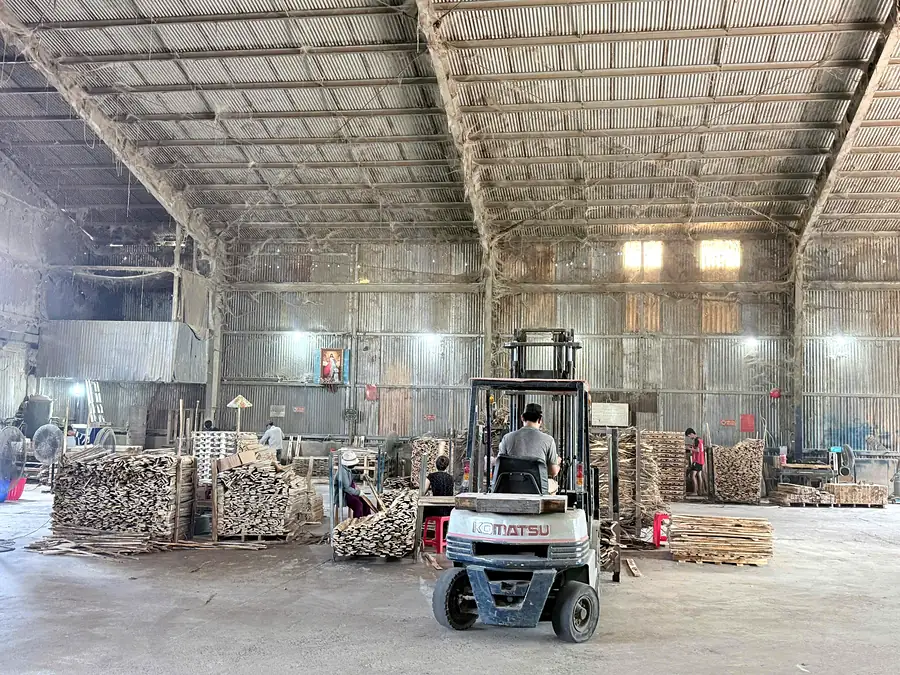 xe nâng Komatsu chạy giữa các chồng ván và pallet gỗ tràm trong xưởng